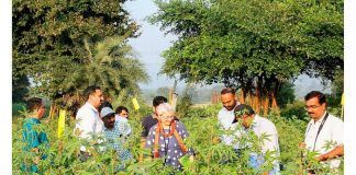 International FiBL cotton project honoured with research prize FiBL cotton project honoured with research prize