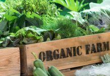 Organic movement calls for increased support for organic farming in CAP strategic plans produccion ecologica españa