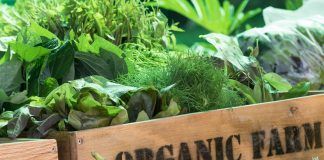 Organic movement calls for increased support for organic farming in CAP strategic plans produccion ecologica españa