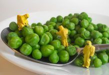 Alimentació ecològica contra el greenwashing greenwashing
