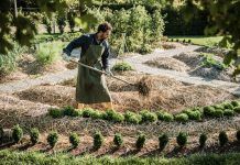 L’agricultura regenerativa vegànica podria ser el futur agricultura veganica
