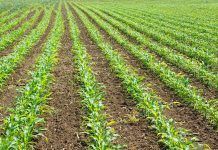 El CAECV ya puede certificar en base al nuevo Reglamento de Producción Ecológica certificaciones bio