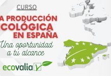 Ecovalia lanza el curso ‘La producción ecológica en España. Una oportunidad a tu alcance’ formación ecovalia