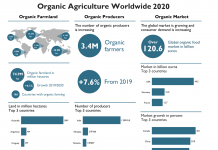 Unprecedented growth in 2020: Global organic market exceeded the 120-billioneuro mark