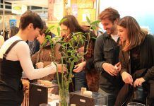 BioCultura A Coruña 2022: lo que no te puedes perder