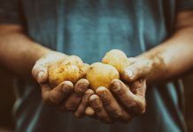 Es convoquen els primers Premis Ecològics de la Unió Europea Premios Ecológicos UE