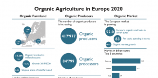 European organic market reached €52 billion in 2020