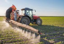 Insecticides que amenacen la nostra salut: el clorpirifòs com a exemple insecticidas