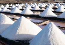 La nova certificació de la sal: insuficientment ecològica? sal ecológica