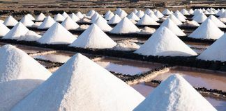 New salt certification: not organic enough? sal ecológica