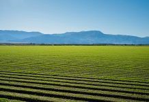 “Organic creates the best balance for productivity, sustainability and health” organic