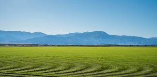 “Organic creates the best balance for productivity, sustainability and health” organic