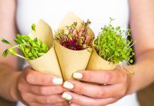 Detoxificar a la primavera, per què i com? detoxificar en primavera