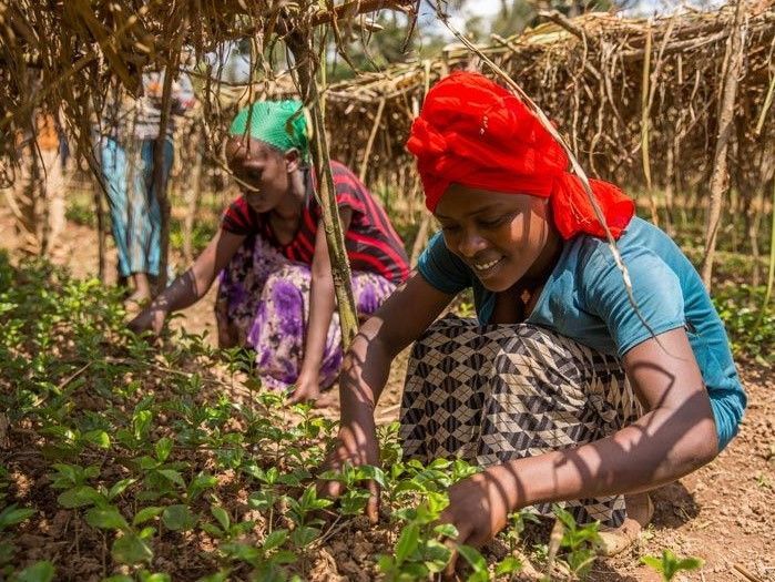 fairtrade-mujeres