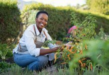 Obertes les candidatures per als Premis Ecològics de la Unió Europea EU organic awards