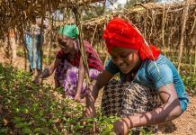 Por un futuro justo para las mujeres que ‘alimentan’ al planeta