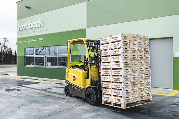 Foodback