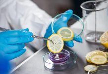 Uso de aditivos alimentarios en alimentos ecológicos aditivos alimentos