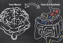 Alimentació i depressió: l’eix microbioma-intestí-cervell alimentación y depresión