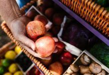 Biures: alimentos con vida, honestos y sostenibles biures