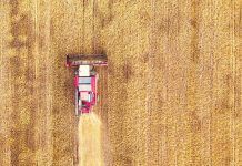 Commission proposal on the certification of carbon removals leaves crucial questions unanswered carbon farming