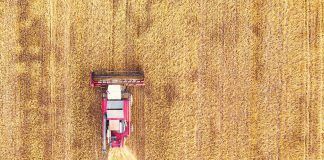 Commission proposal on the certification of carbon removals leaves crucial questions unanswered carbon farming