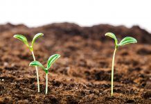 New FiBL study shows ways for climate-neutral organic agriculture by 2040