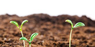 New FiBL study shows ways for climate-neutral organic agriculture by 2040