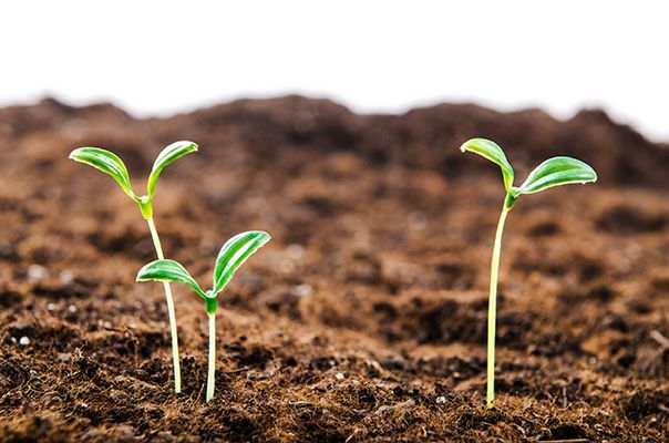 climate-neutral organic agriculture