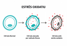 Pesticides i estrès oxidatiu: quina és la relació? estrès oxidatiu