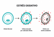 Pesticidas y estrés oxidativo: ¿cuál es la relación? pesticidas y estrés oxidativo