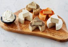 Fermentino: alternativas 100% vegetales y ecológicas a los quesos convencionales fermentino