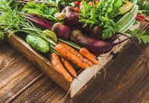 La salut dels cultius ecològics: a la recerca d’un sistema basat en la biodiversitat salud cultivos