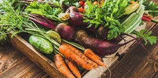 Plant health care: seeking a biodiversity-based system salud cultivos