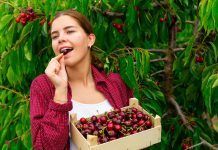 Fruites i verdures de temporada a la primavera fruites verdures primavera