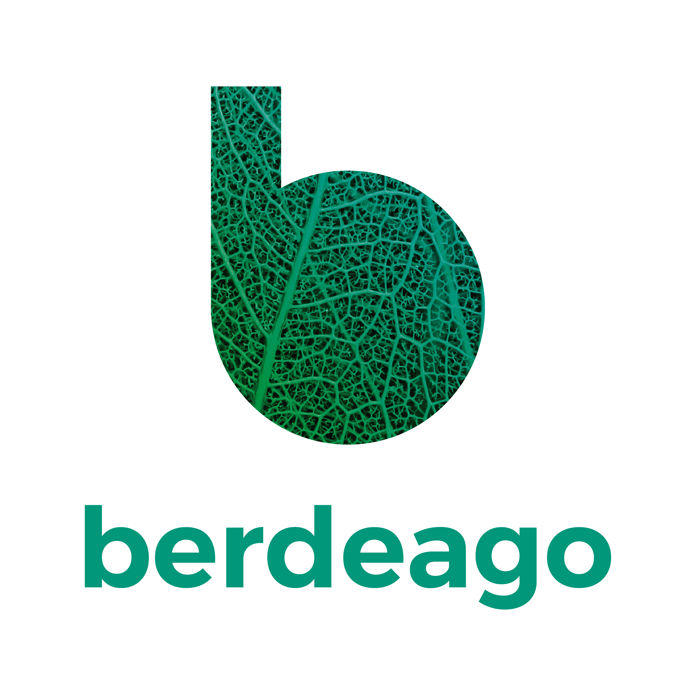 Berdeago_Logo
