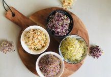 Alimenta la vida con brotes germinados ecológicos Brot d’Or Brot d'Or