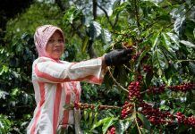 Comercio justo, la llave para avanzar hacia un futuro justo que no deje a nadie atrás comercio justo