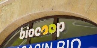 Who leads the organic market in France? mercado bio francia