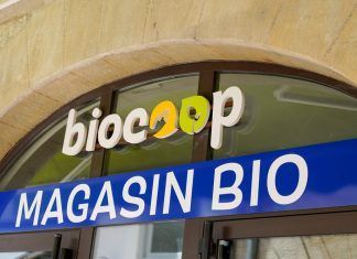 Francia: últimos datos de la distribución ecológica especializada, ¡la red bio vuelve a la ofensiva! mercado bio francia