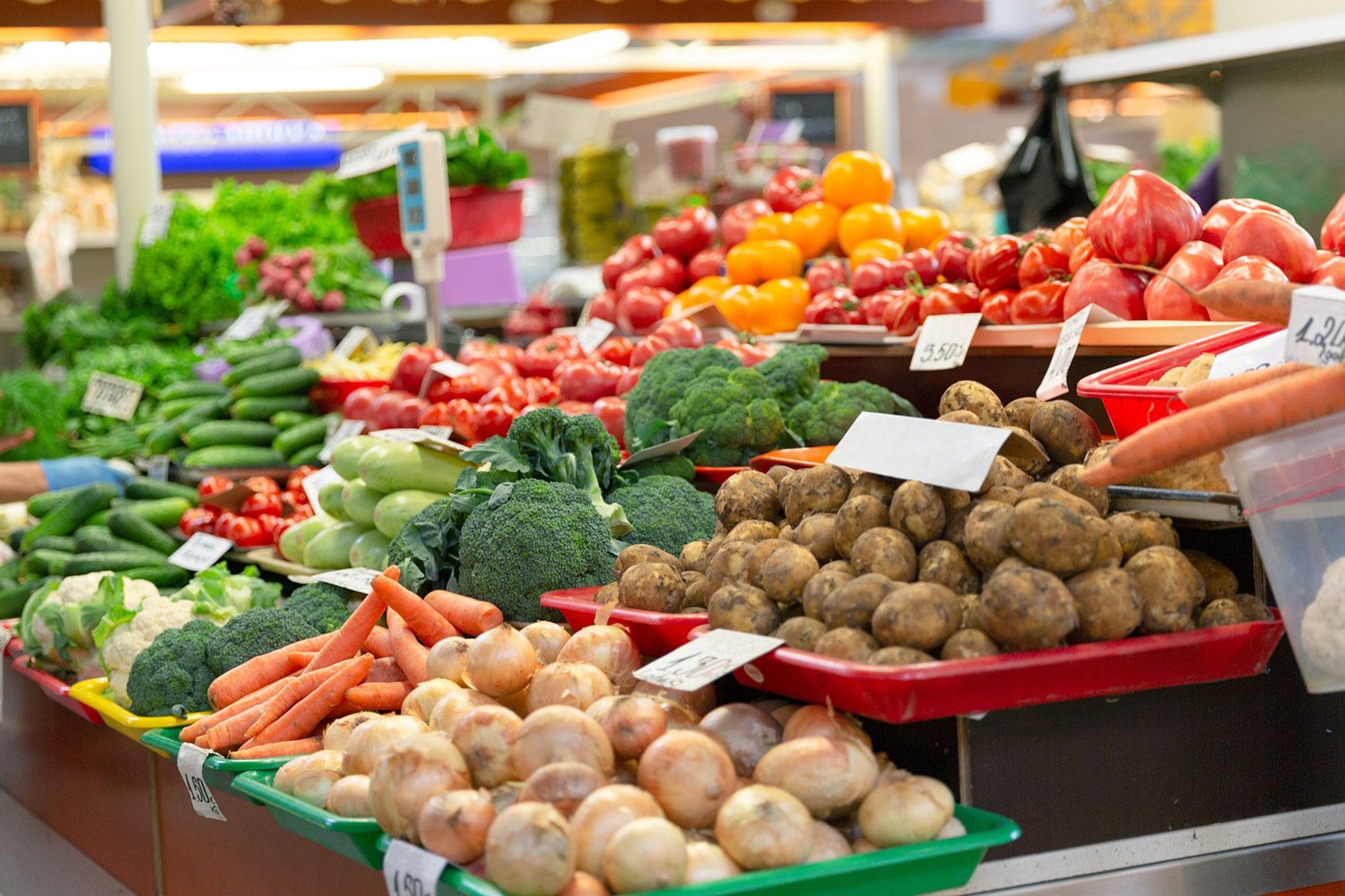 vegetales-ecologicos