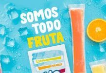 Pura fruita per a un estiu ple de sabor polos bio ice la finestra