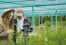 BIOFOOD NETWORK®: el BIO accessible a qualsevol racó rural mitjançant la digitalització! biofood