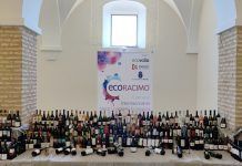 Bodega Palomillo se alza con el máximo galardón de Ecoracimo 2022 Ecoracimo 2022