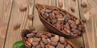 Pacari: «the best chocolate for the world» pacari
