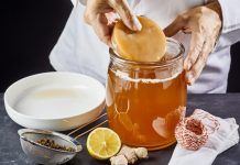 Cómo preparar Kombucha casera kombucha casera