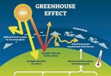 OPTA Europe launches Manifesto for Organic Climate Action Greenhouse Effect