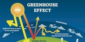 OPTA Europe launches Manifesto for Organic Climate Action Greenhouse Effect