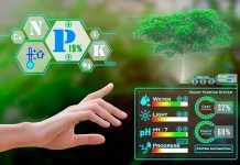 Are digital audits the future of organic certification? digital audits