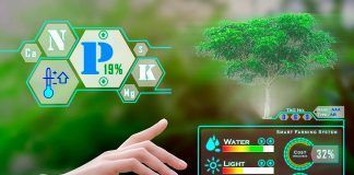 Are digital audits the future of organic certification? digital audits